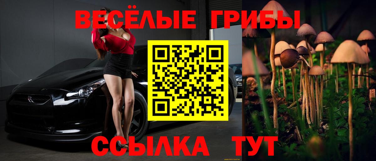 купить наркотик  Псилоцибиновые грибы Psilocybine cubensis  Вход с VPN  Губкин 