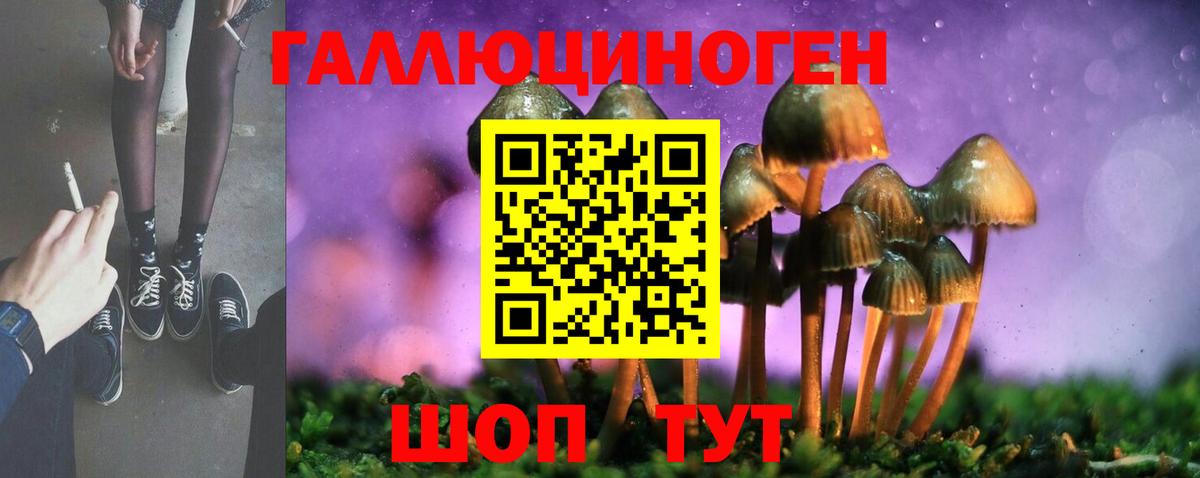 Галлюциногенные грибы прущие грибы Губкин